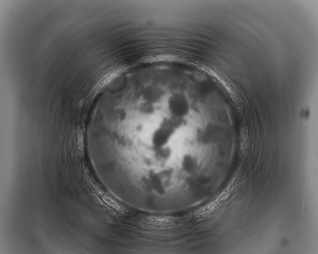 X0000100850921200806271132