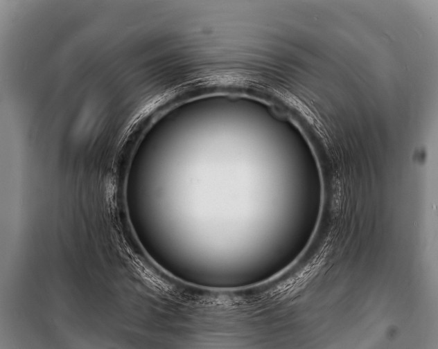 X0000100850922200806271132