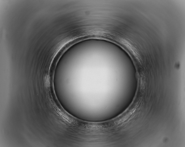 X0000100850924200806271132