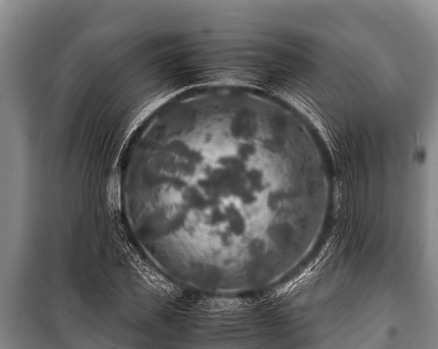 X0000100850925200806271132