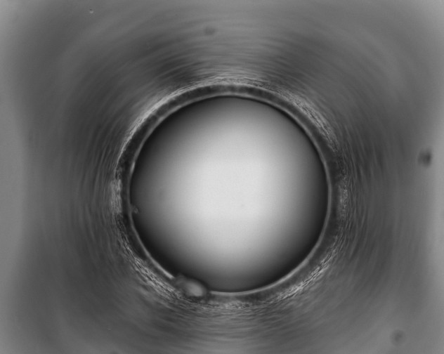 X0000100850926200806271132