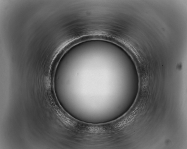 X0000100850927200806271132