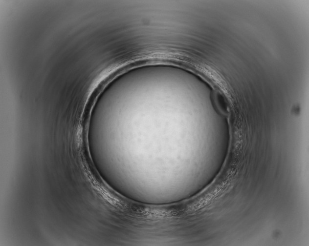 X0000100850928200806271132