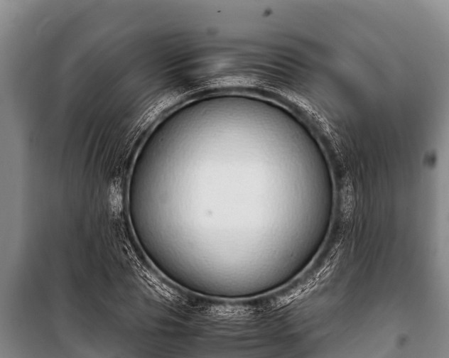 X0000100850929200806271132