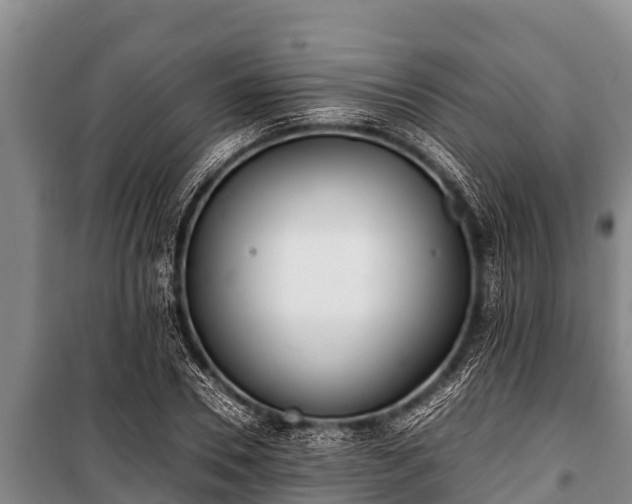 X0000100850930200806271132