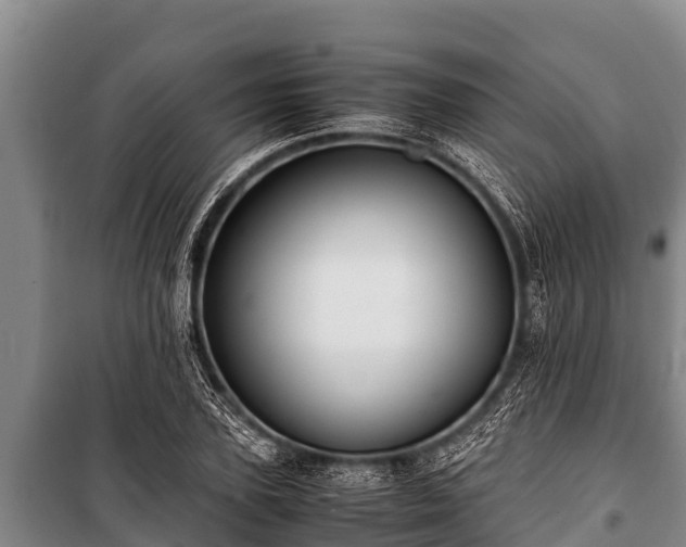 X0000100850931200806271132