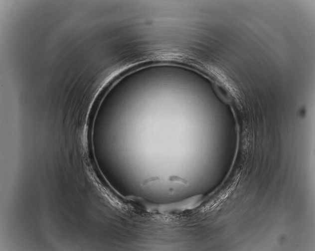 X0000100850932200806271132