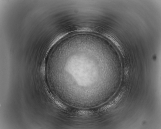 X0000100850933200806271132