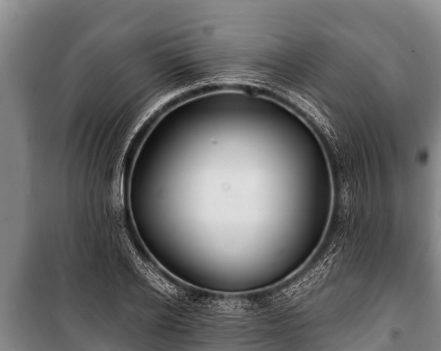 X0000100850934200806271132