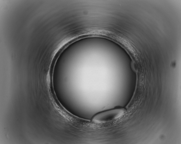 X0000100850936200806271132