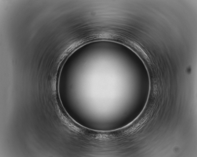 X0000100850938200806271132