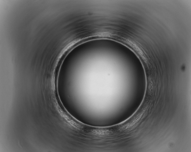 X0000100850939200806271132