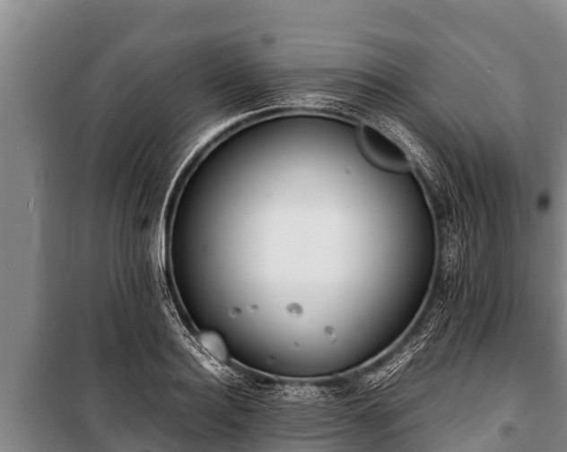 X0000100850940200806271132