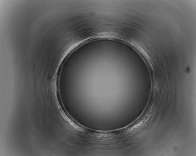 X0000100850941200806271132