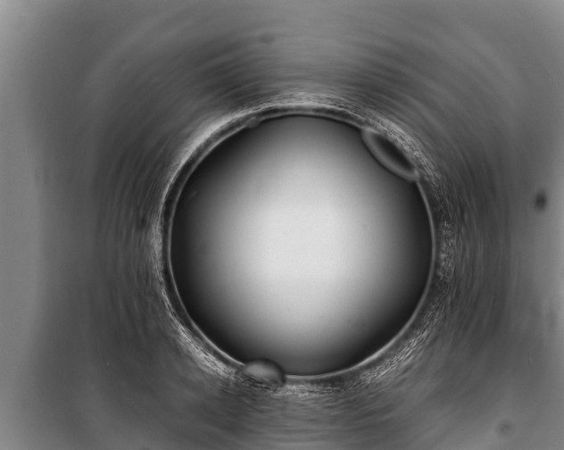 X0000100850942200806271132