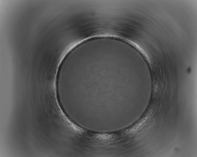 X0000100850943200806271132