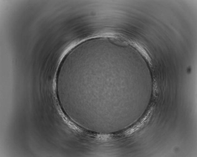 X0000100850944200806271132