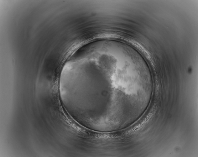 X0000100850945200806271132