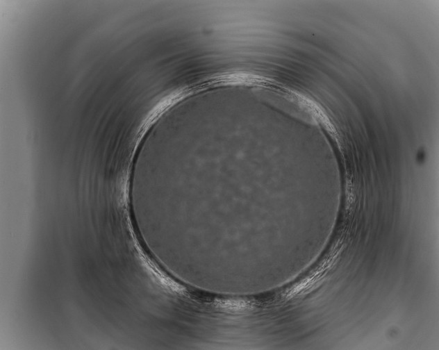 X0000100850946200806271132