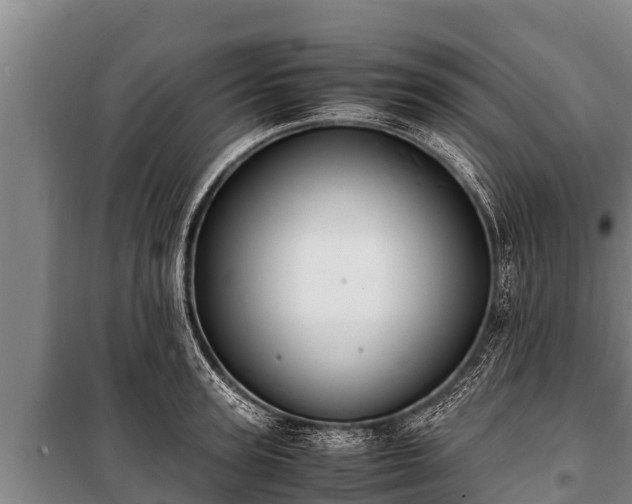 X0000100850947200806271132