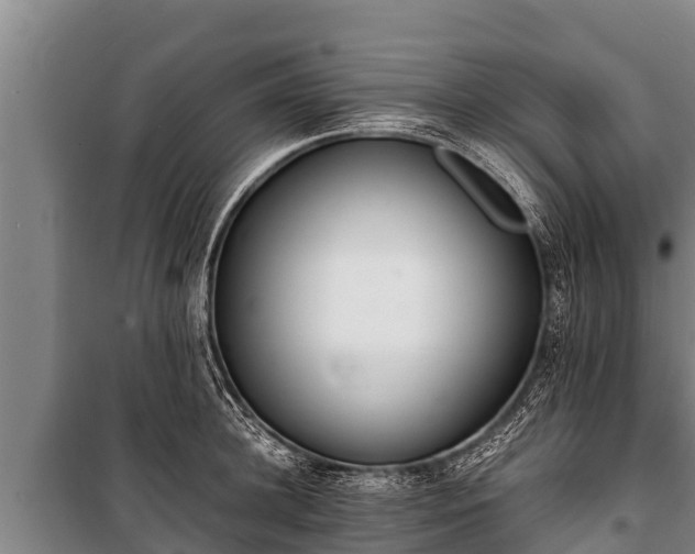 X0000100850948200806271132