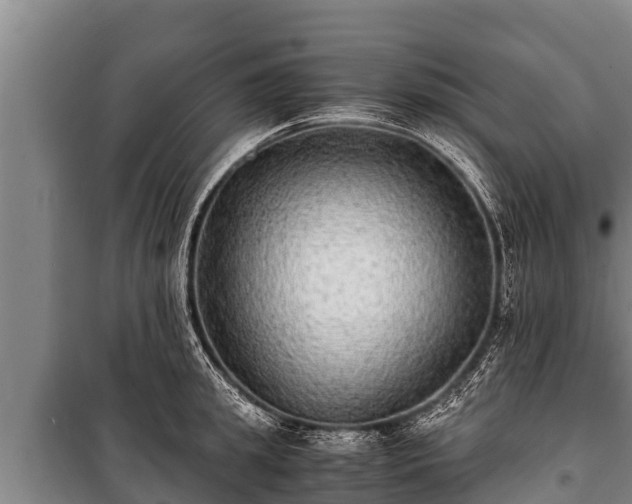 X0000100850949200806271132