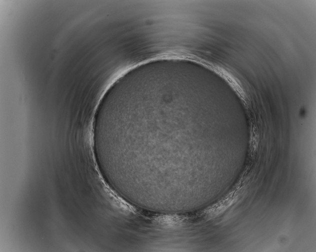 X0000100850950200806271132