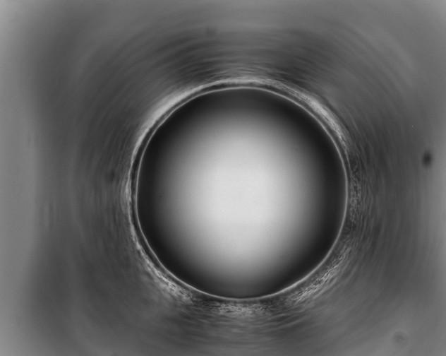 X0000100850951200806271132