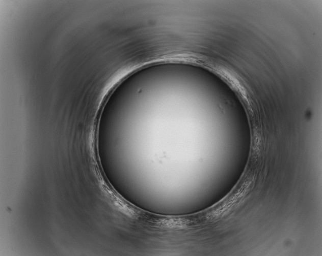 X0000100850952200806271132