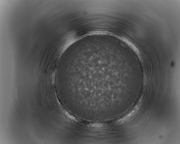 X0000100850953200806271132