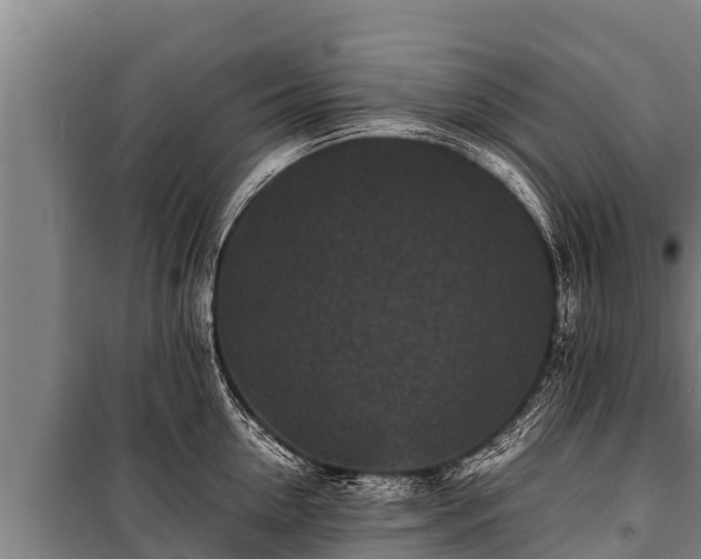 X0000100850954200806271132