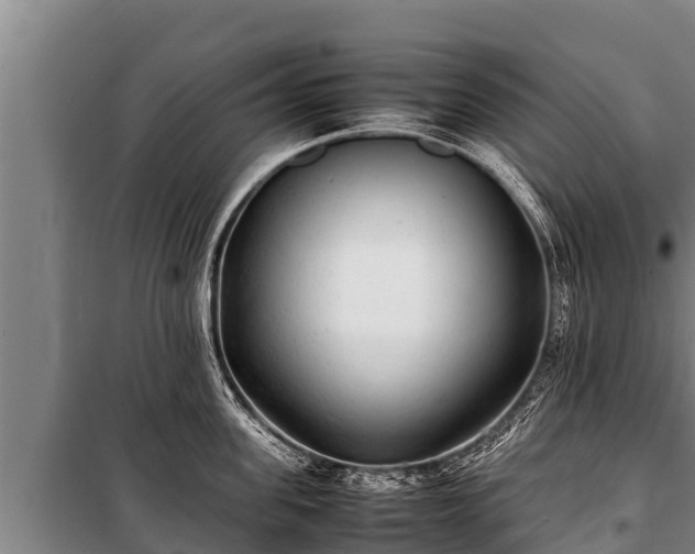 X0000100850955200806271133