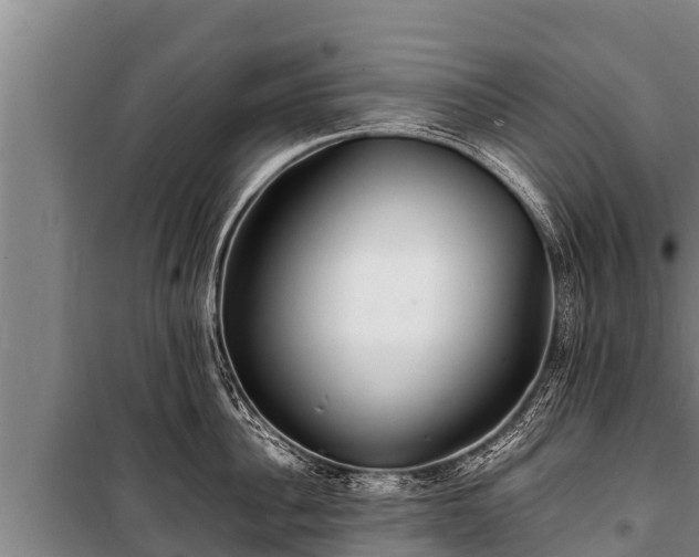 X0000100850956200806271133