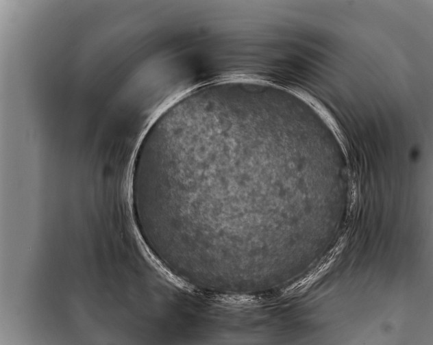 X0000100850957200806271133