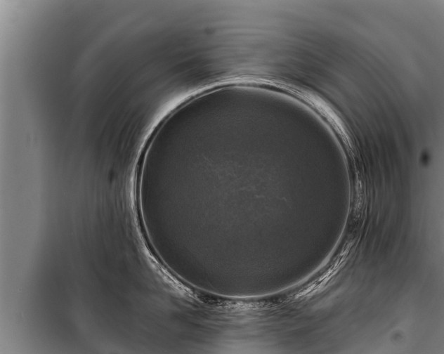 X0000100850958200806271133