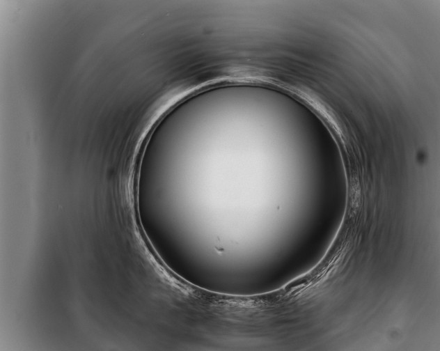 X0000100850959200806271133