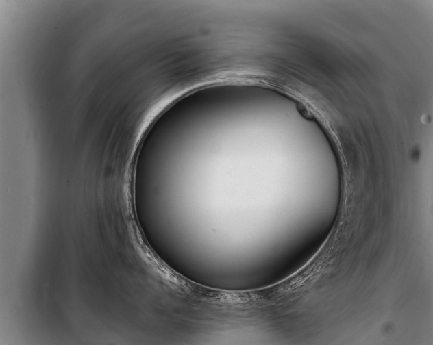 X0000100850960200806271133