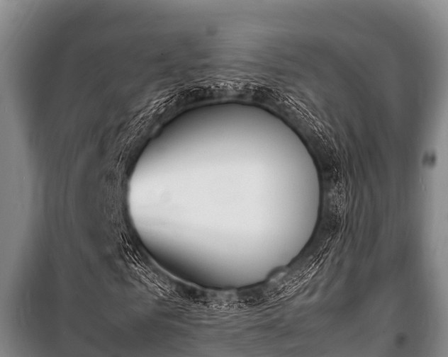 X0000100850961200806271132