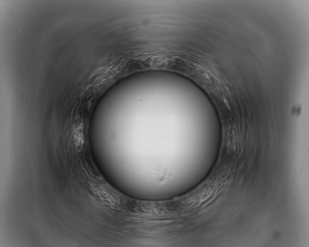 X0000100850962200806271132