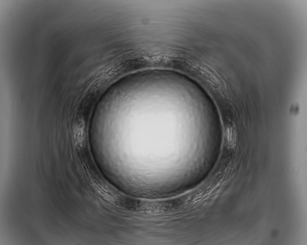 X0000100850963200806271132