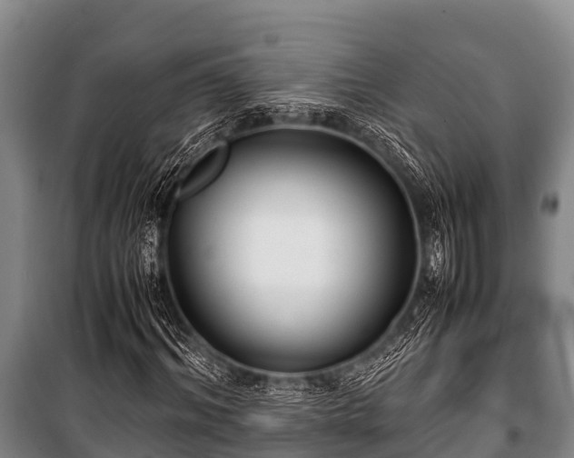 X0000100850964200806271132