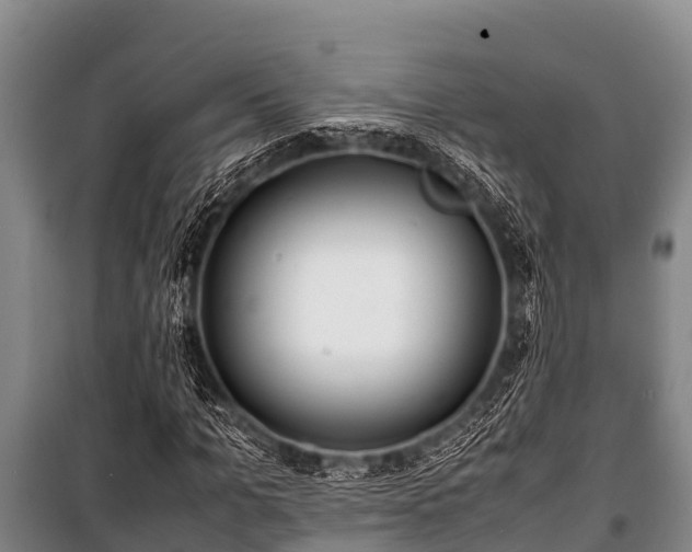 X0000100850965200806271132