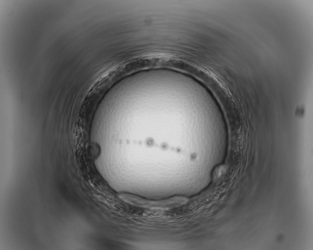 X0000100850967200806271132