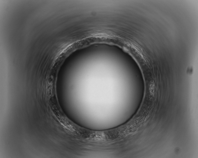 X0000100850968200806271132