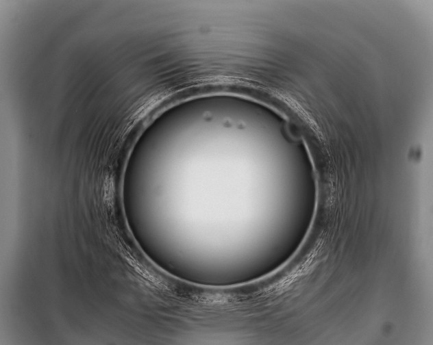 X0000100850969200806271132