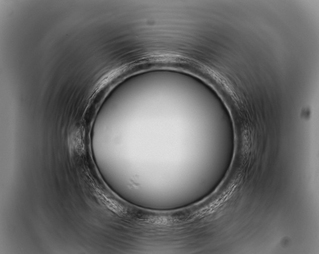 X0000100850970200806271132