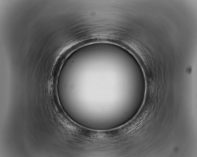 X0000100850971200806271132