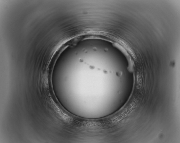 X0000100850972200806271132