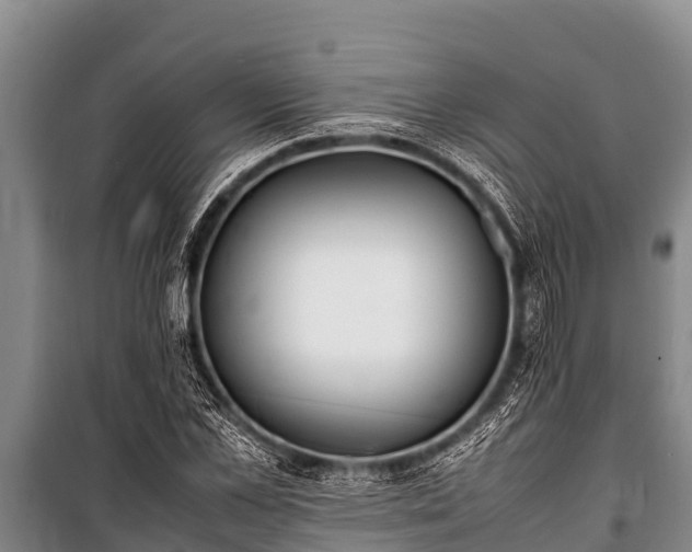 X0000100850973200806271132