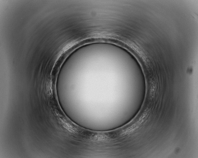 X0000100850974200806271132